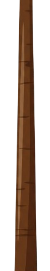 Pole